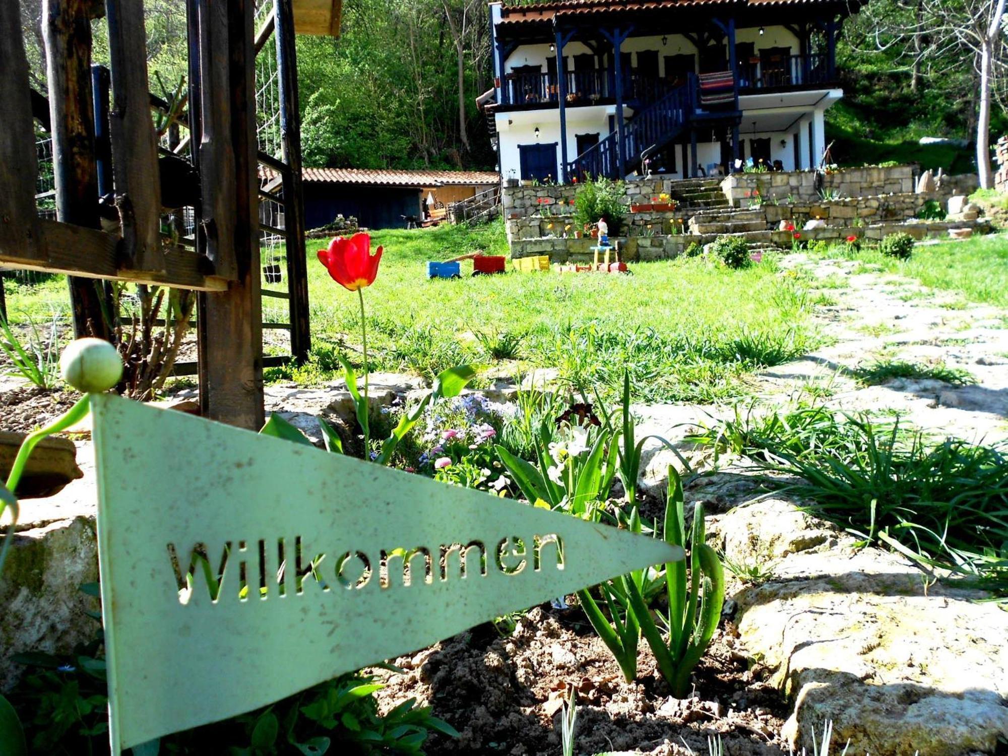 Milkovata Guest House Koshov Zewnętrze zdjęcie